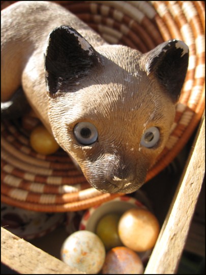 BRACK Porte de Vanves 1