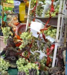 BRACK Food Market&nbsp;31