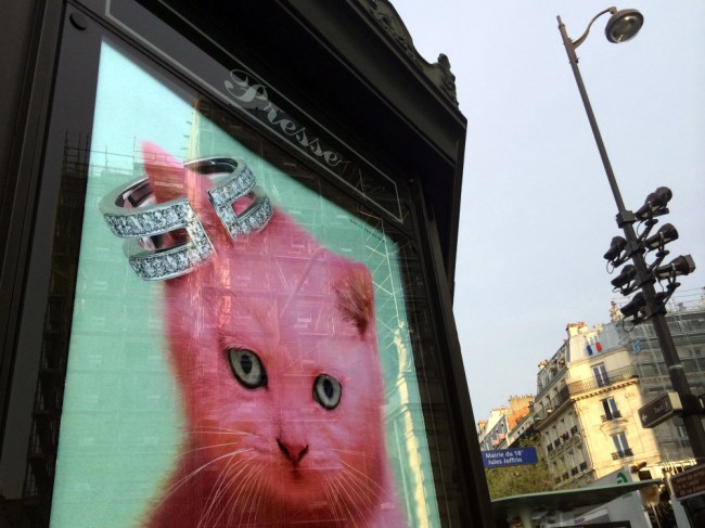 Latest Paris Fashion Trend: Cats wear custom-made hats, Abbesses-Montmartre (Photo by T. Brack)