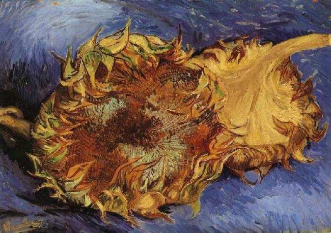 Two Cut Sunflowers, Van Gogh, Paris, 1887, The Metropolitan Museum of Art
