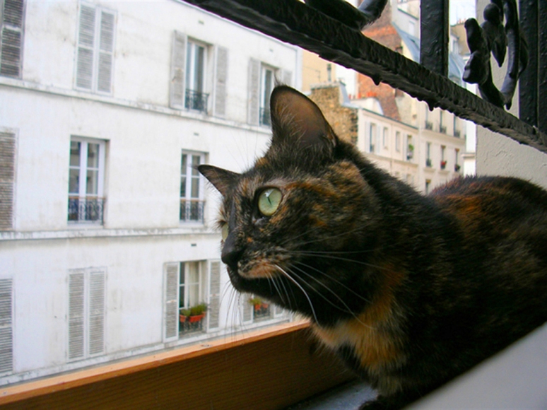She's a bird watcher: Le Fabuleux Destin de “Kitty” (Photo by Theadora Brack)